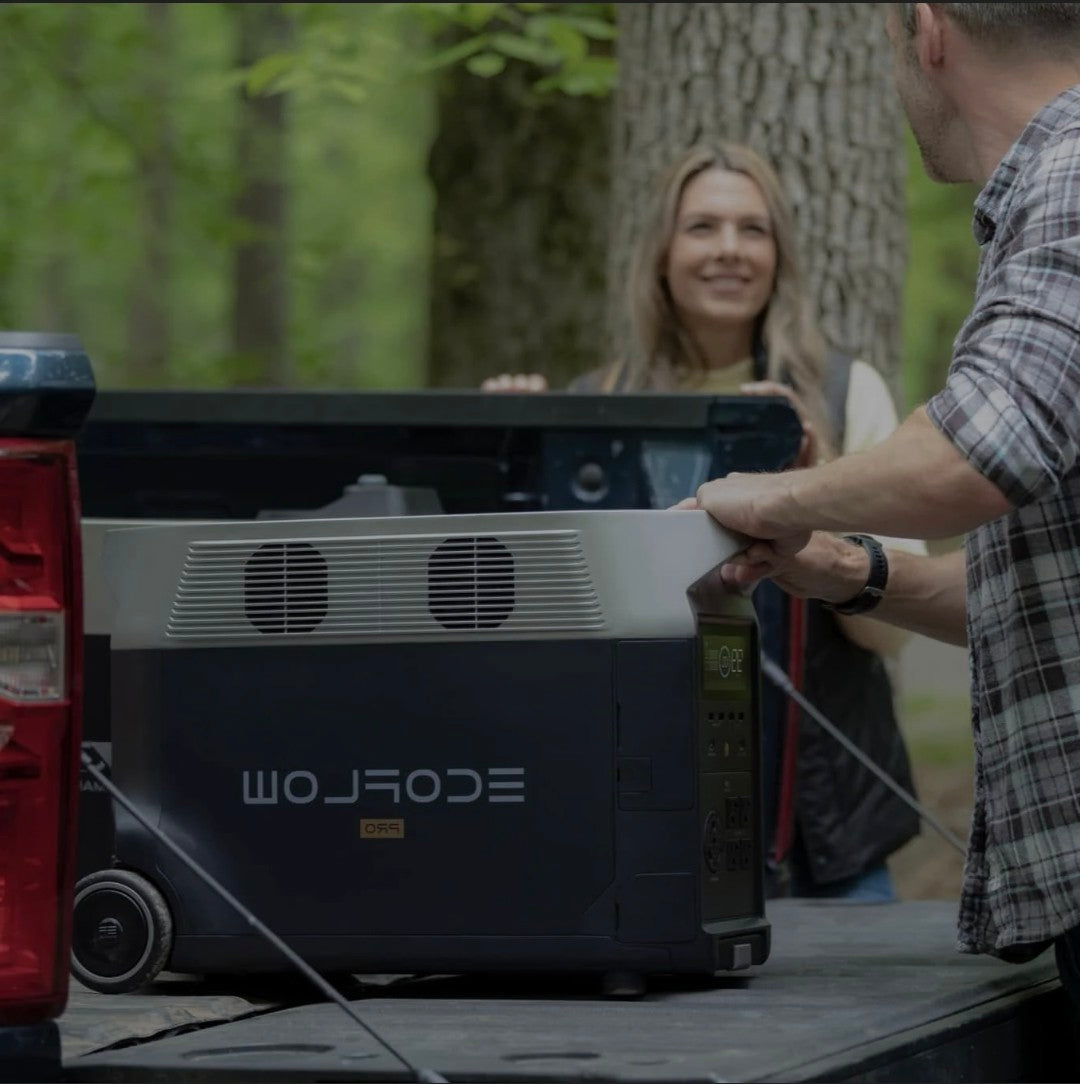 ECO Flow Delta Pro