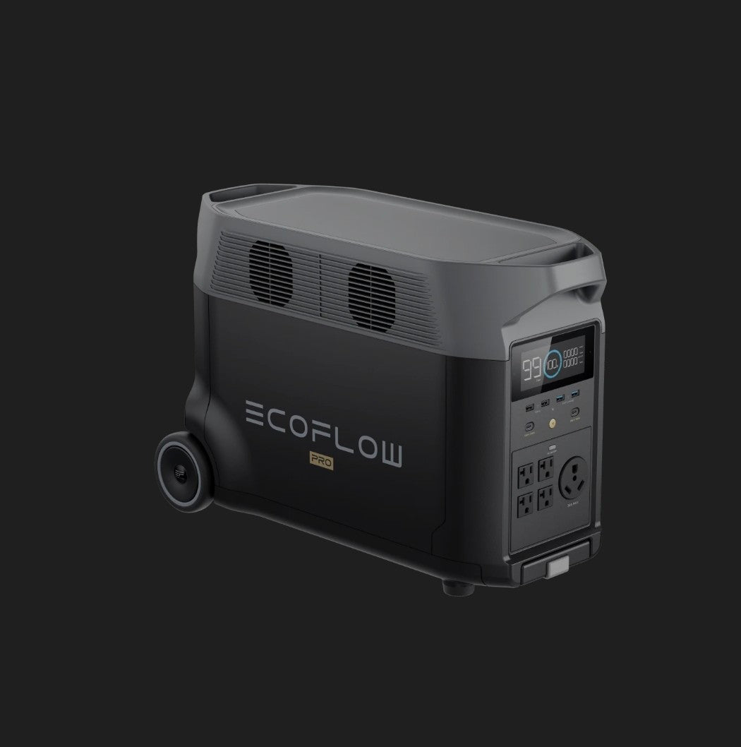 ECO Flow Delta Pro