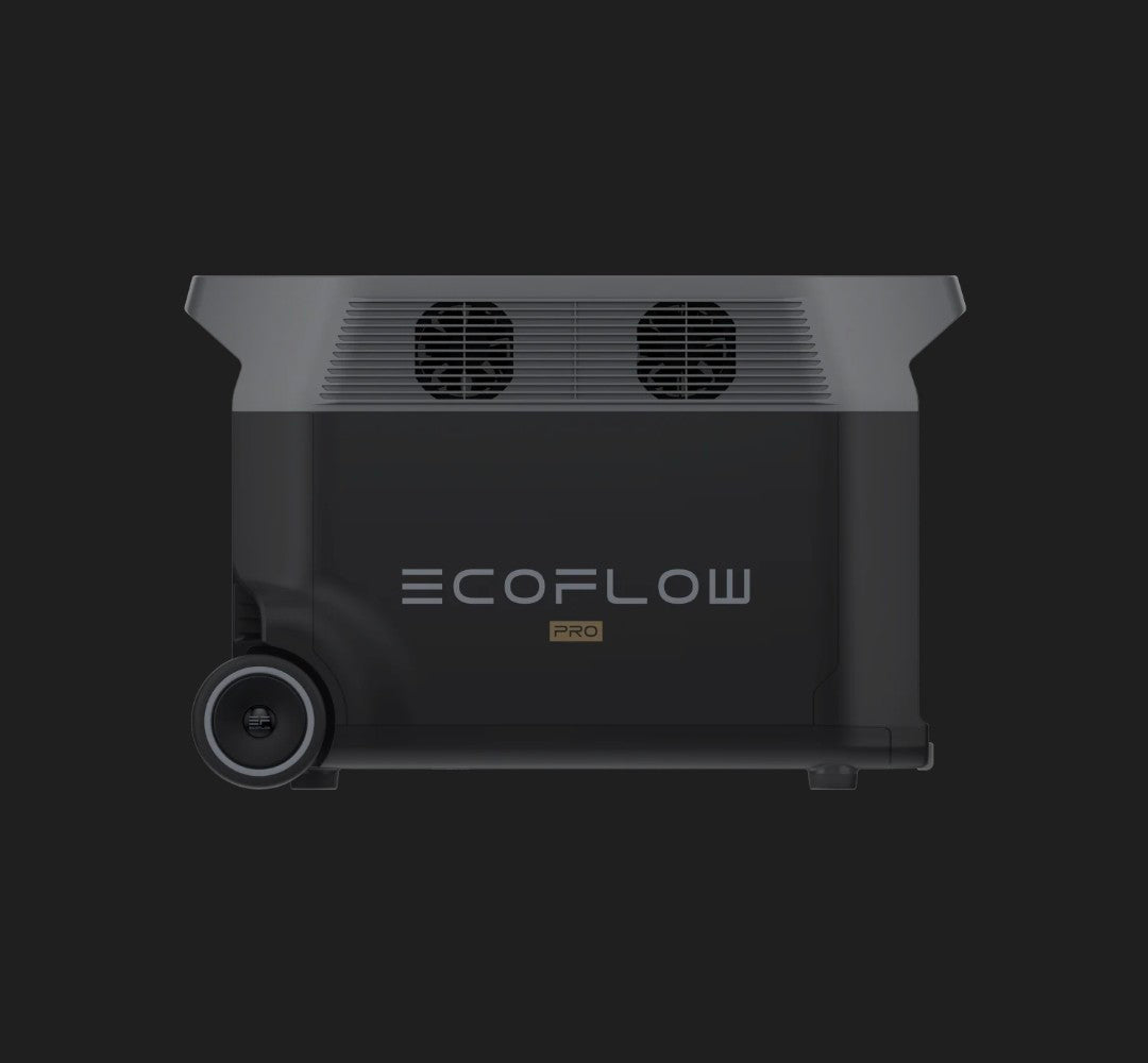 ECO Flow Delta Pro