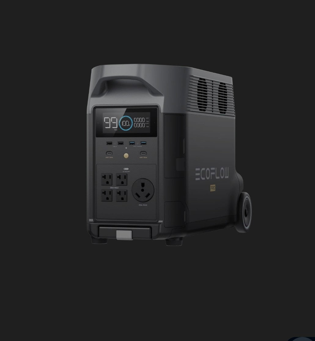 ECO Flow Delta Pro