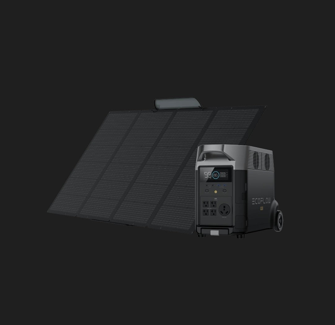ECO Flow Delta Pro
