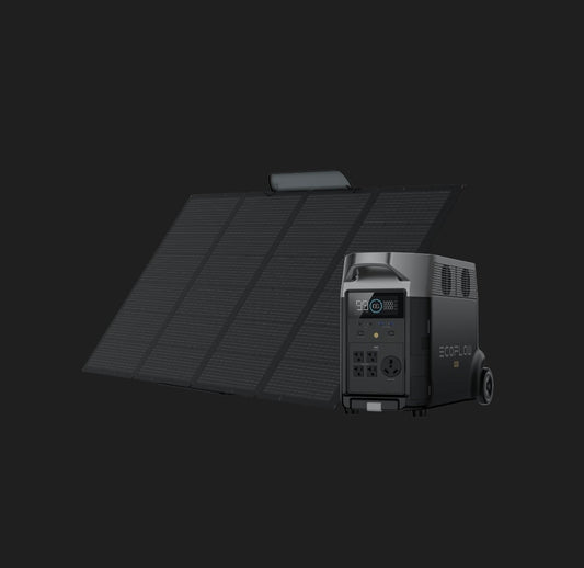 ECO Flow Delta Pro
